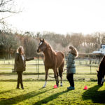 Paardencoaching is een ervarings -en oplossingsgerichte coachingsmethode bij klachten als onrust, stress, PTSS, angst of woede