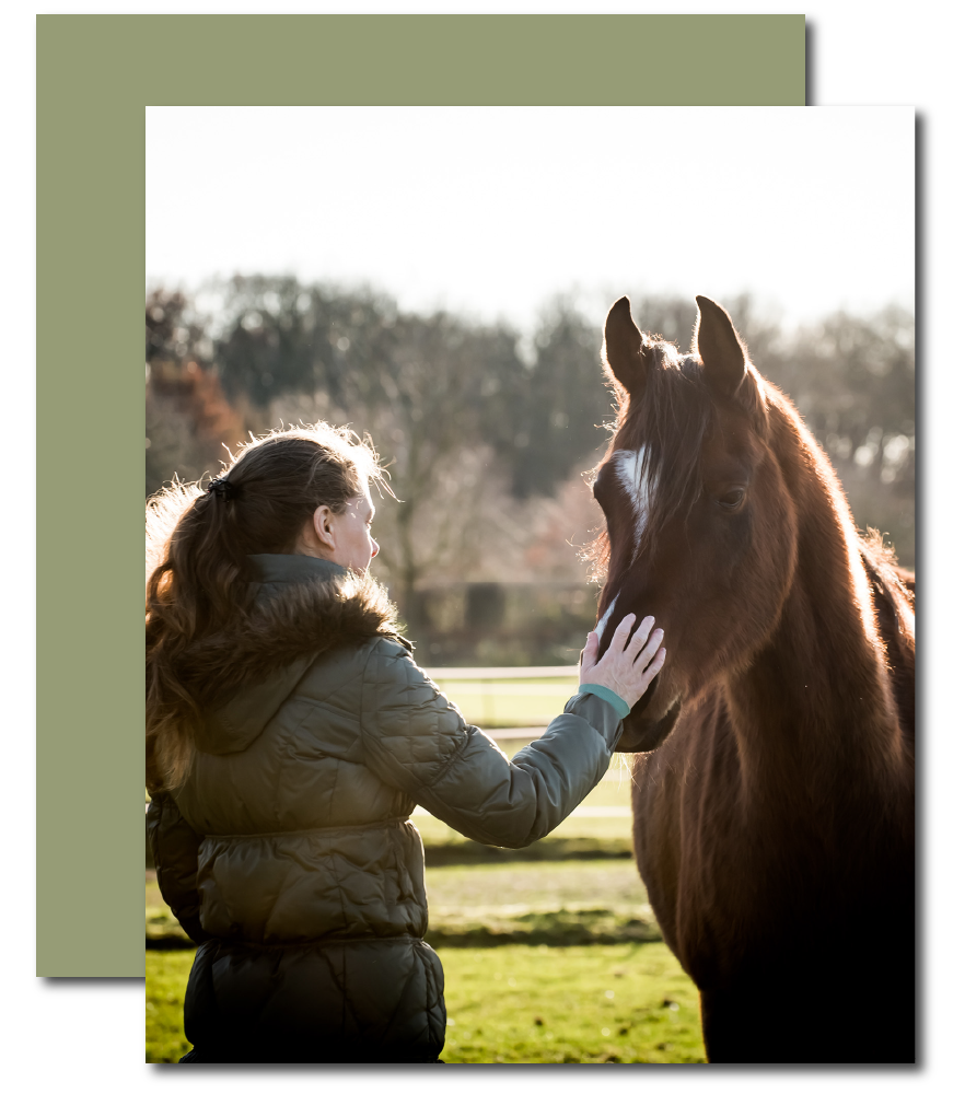 Paardencoaching is een ervarings -en oplossingsgerichte coachingsmethode bij klachten als onrust, stress, PTSS, angst of woede